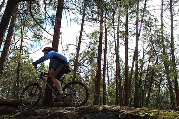MTB Park