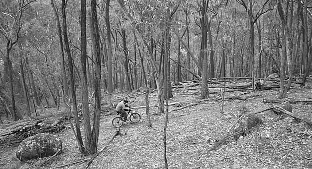 MTB Park