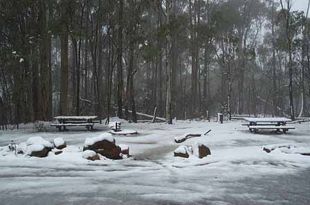 snowpicnic